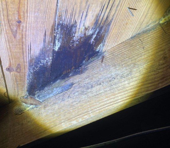 Mold that needs to be removed.