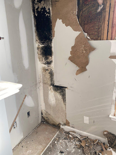 Water damage and mold.