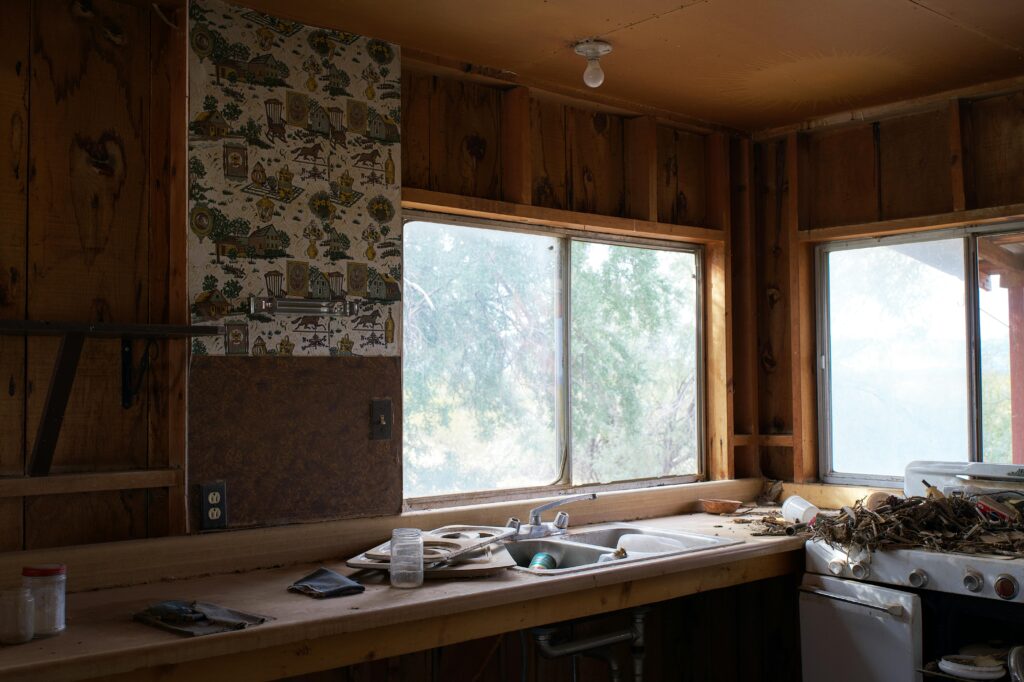 Older Metro Atlanta Home with mold