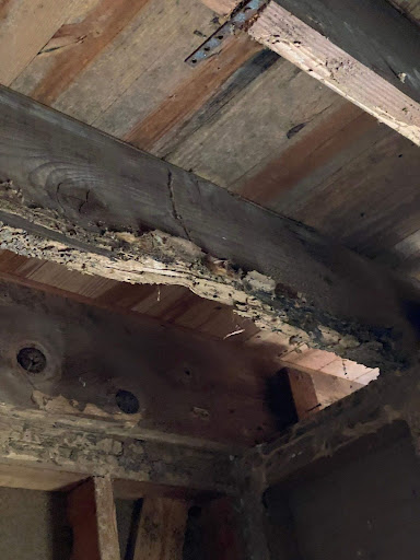 More mold in a crawl space