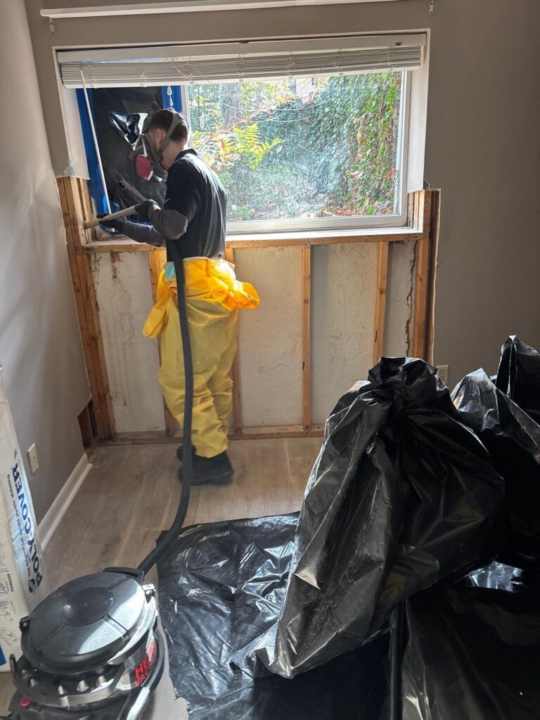 Technician Using HEPA Vac Using Basement Mold Remediation