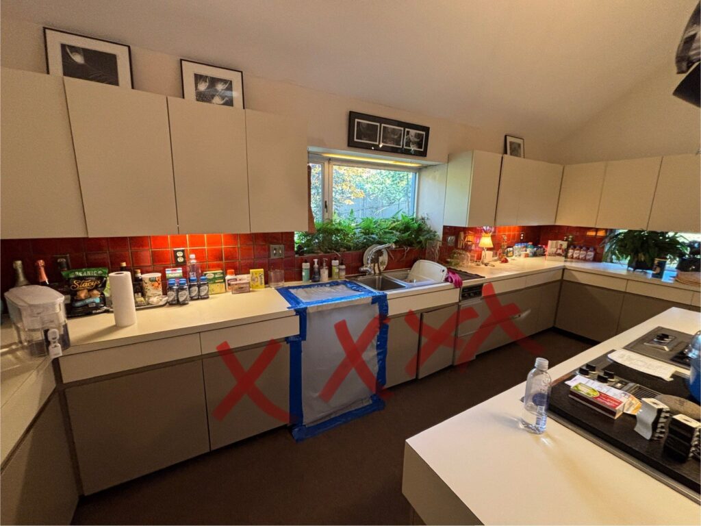 Red Xs Mark Kitchen Mold Remediation Plan