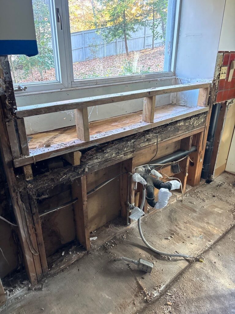 Kitchen Cabinets Removed For Mold Remediation