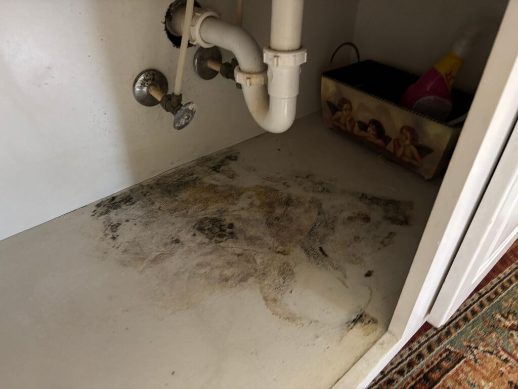 Microbial growth under sink