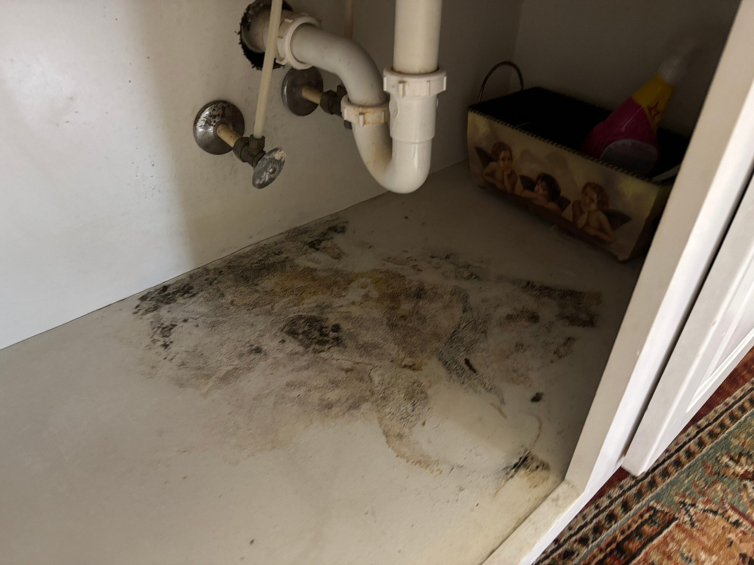 Microbial growth under sink